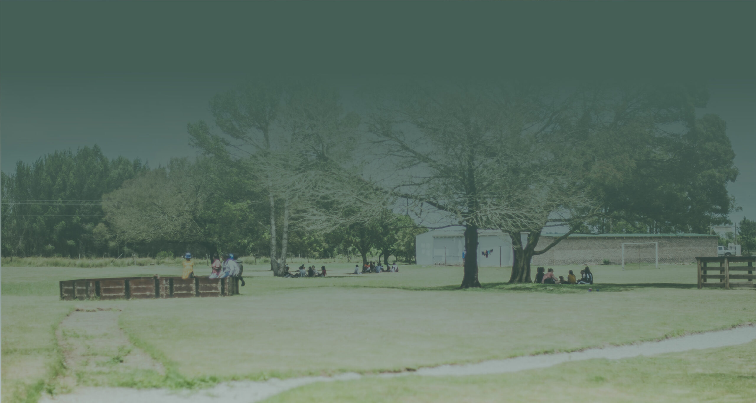 The outdoor grounds at Camp Rhino